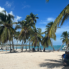 Booguie + Playa + Isla saona 🏝 - Image 5