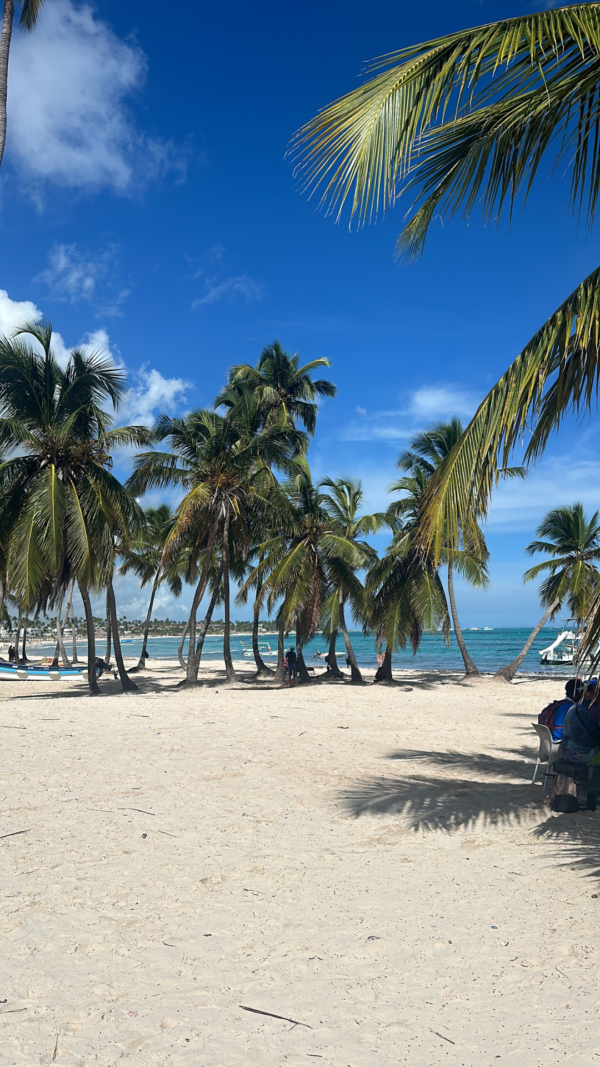 Booguie + Playa + Isla saona 🏝 - Image 5