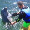 Delfines🐬 Coco Bongo 🪩 Catamarán ⛵ - Image 3