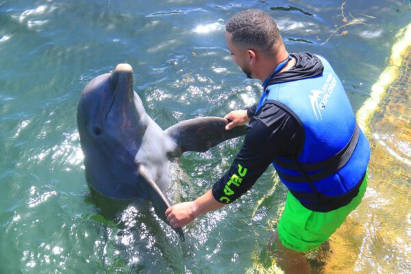 Delfines🐬 Coco Bongo 🪩 Catamarán ⛵ - Image 3