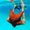Isla Saona 🏝️ - Image 2