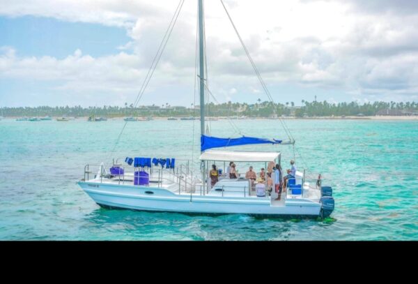 Delfines🐬 Coco Bongo 🪩 Catamarán ⛵