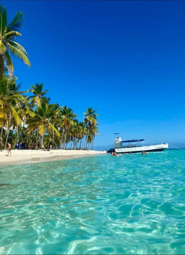 ISLA SONA🌴 - Image 6